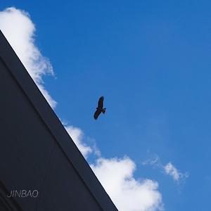 男女做爱全过程激情视频
